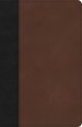 KJV Thinline Bible, Black/Brown LeatherTouch