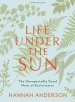 Life Under the Sun - Bible Study Book