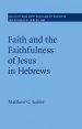 Faith and the Faithfulness of Jesus in Hebrews: Volume 160