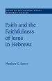 Faith and the Faithfulness of Jesus in Hebrews