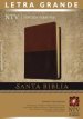 Santa Biblia NTV, Edici