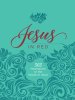 Jesus in Red: 365 Meditations on the Words of Jesus