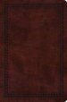 ESV Value Compact Bible (TruTone, Mahogany, Border Design)