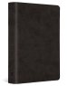 ESV Value Large Print Compact Bible (TruTone, Black)