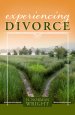 Experiencing Divorce