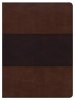 CSB Apologetics Study Bible, Mahogany Leathertouch