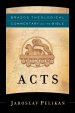 Acts (Brazos Theological Commentary on the Bible) [eBook]