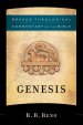 Genesis (Brazos Theological Commentary on the Bible) [eBook]