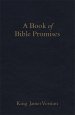 KJV Book of Bible Promises Midnight Blue [eBook]