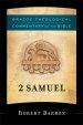 2 Samuel (Brazos Theological Commentary on the Bible) [eBook]