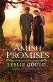 Amish Promises (Neighbors of Lancaster County Book #1) [eBook]