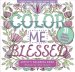 Color Me Blessed Adult Coloring Book (31 Stress-Relieving Designs)