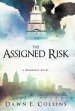 The Assigned Risk: A Dreamseer Novel