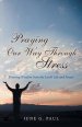 Praying Our Way Through Stress: Drawing Wisdom from the Lord's Life and Prayer