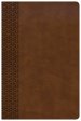 CSB Everyday Study Bible, British Tan LeatherTouch