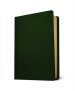 Baylor Annotated Study Bible