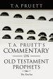 T. A. Pruett's Commentary on Old Testament Prophets: The Nevi'Im