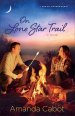 On Lone Star Trail (Texas Crossroads Book #3)