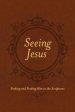 Seeing Jesus