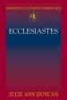 Abingdon Old Testament Commentaries: Ecclesiastes