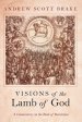 Visions of the Lamb of God: A Commentary on the Book of Revelation