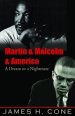 Martin and Malcolm and America