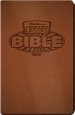 NIrV Adv in Odyssey Bible, Brown