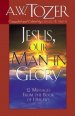 Jesus, Our Man In Glory