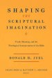 Shaping the Scriptural Imagination