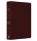 KJV Study Bible