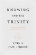 Knowing and the Trinity