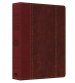 KJV Study Bible Large Print Red/Brown Imitation Leather