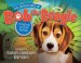 The Adventures of Bob the Beagle: Finding A New Family