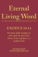 Eternal Living Word: My Name is Jealous: Come into the Ark of Salvation