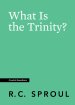 What Is the Trinity?