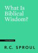 What Is Biblical Wisdom?