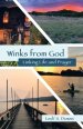 Winks from God: Linking Life and Prayer