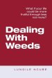 Dealing with Weeds: What If Your Life Could Be More Fruitful Through Less Not More?