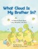 What Cloud Is My Brother In?: A Children's Book About Love, Memories, and Grief