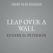 Leap Over a Wall: Earthy Spirituality for Everyday Christians