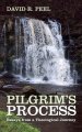 Pilgrim's Process