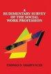 A Rudimentary Survey  of the Social Work Profession