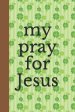 my pray for Jesus: 100 Days of Grace & Gratitude