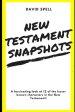 New Testament Snapshots: A fascinating look at 12 of the lesser known characters in the New Testament!