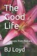 The Good Life: Life Lessons from Romans 2 and 3