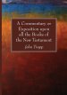 A Commentary or Exposition upon all the Books of the New Testament