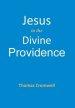 Jesus in the Divine Providence