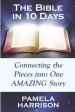 The Bible in 10 Days: Connecting the Pieces Into One Amazing Story