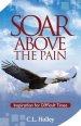 Soar Above the Pain: Inspiration for Difficult Times