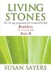 Living Stones: Boulders (11-14), Year B